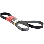 Order MOTORCRAFT - JK8-1406 - V-Belt For Your Vehicle