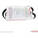 Order Serpentine Belt by MOTORCRAFT - JK4-365 For Your Vehicle