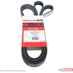 Order Serpentine Belt by MOTORCRAFT - JK6-1037A For Your Vehicle