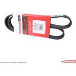 Order Serpentine Belt by MOTORCRAFT - JK6-456AA For Your Vehicle