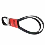 Order Serpentine Belt by MOTORCRAFT - JK6-891AA For Your Vehicle
