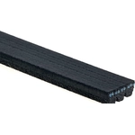 Order ROAD MAX - 3K290AP - V-Ribbed Belt For Your Vehicle