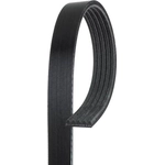 Order ROAD MAX - 5K551AP - Belt For Your Vehicle