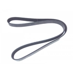 Order ROAD MAX - 6K473AP - V-Belt For Your Vehicle