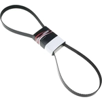 Order Serpentine Belt by ROAD MAX - 6K630AP For Your Vehicle