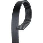 Order Serpentine Belt by ROAD MAX - 6K815AP For Your Vehicle