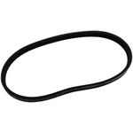 Order SKP - SK030196 - Serpentine Belt Anti-Slip Shield For Your Vehicle