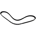 Order SKP - SK040352 - Serpentine Belt Anti-Slip Shield For Your Vehicle