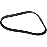 Order SKP - SK050264 - Serpentine Belt For Your Vehicle