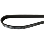 Order Serpentine Belt by SKP - SK050404 For Your Vehicle