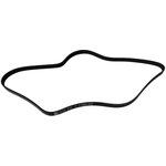 Order SKP - SK050551 - Serpentine Belt Anti-Slip Shield For Your Vehicle