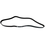 Order SKP - SK060535 - Serpentine Belt Anti-Slip Shield For Your Vehicle