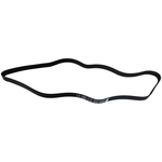 Order SKP - SK070669 - Serpentine Belt Anti-Slip Shield For Your Vehicle