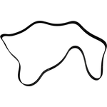 Order SKP - SK070975 - Serpentine Belt For Your Vehicle