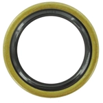 Order SKF - 15807 - Shift Shaft Seal For Your Vehicle