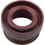 Order Shift Shaft Seal by SKF - 6103 For Your Vehicle