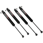 Order TERAFLEX - 1545250 - Front and Rear Twin-Tube Shock Absorbers Set For Your Vehicle