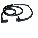 Order VARIOUS MANUFACTURERS - GM1592101 - Side Door Weatherstrip For Your Vehicle