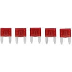 Order BUSSMANN - ATM10 - Fuses  (Pack of 5) For Your Vehicle