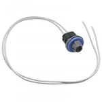 Order BWD AUTOMOTIVE - PT145 - Electrical Socket For Your Vehicle