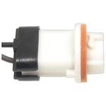 Order BWD AUTOMOTIVE - PT5603 - Electrical Socket For Your Vehicle