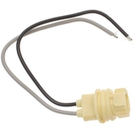 Order BWD AUTOMOTIVE - PT85 - Electrical Socket For Your Vehicle