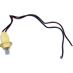 Order Side Marker Light Socket by CROWN AUTOMOTIVE JEEP REPLACEMENT - 5455853K For Your Vehicle