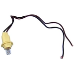 Order Side Marker Light Socket by CROWN AUTOMOTIVE JEEP REPLACEMENT - 5455853K For Your Vehicle