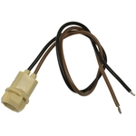 Order STANDARD - PRO SERIES - S100 - Electrical Socket For Your Vehicle