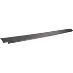 Order DORMAN (OE SOLUTIONS) - 926-919 - Side Rail Protector For Your Vehicle