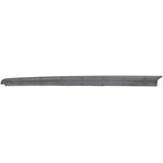 Order Side Rail Protector by DORMAN (OE SOLUTIONS) - 926-935 For Your Vehicle