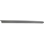 Order DORMAN (OE SOLUTIONS) - 926-940 - Side Rail Protector For Your Vehicle