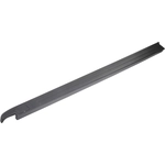 Order DORMAN (OE SOLUTIONS) - 926-947 - Side Rail Protector For Your Vehicle