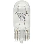 Order HELLA - 168TB - Light Bulb For Your Vehicle