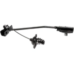 Order Spare Tire Hoist by DORMAN (OE SOLUTIONS) - 924633 For Your Vehicle