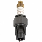 Order Spark Plug by CHAMPION SPARK PLUG - 425 For Your Vehicle