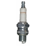 Order Spark Plug by CHAMPION SPARK PLUG - 807 For Your Vehicle