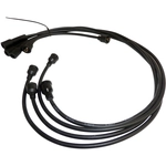 Order CROWN AUTOMOTIVE JEEP REPLACEMENT - J0930456 - Ignition Wire Set For Your Vehicle