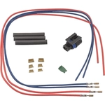 Order Speed Sensor Connector by BLUE STREAK (HYGRADE MOTOR) - S2485 For Your Vehicle