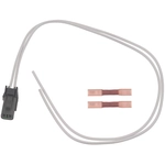 Order BLUE STREAK (HYGRADE MOTOR) - S2941 - Speed Sensor Connector For Your Vehicle