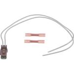 Order Speed Sensor Connector by BLUE STREAK (HYGRADE MOTOR) - S2975 For Your Vehicle