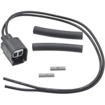 Order BWD AUTOMOTIVE - PT1256 - Headlight Connecteur For Your Vehicle