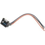 Order BWD AUTOMOTIVE - PT365 - Electrical Connecteur For Your Vehicle