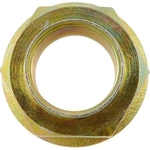 Order Spindle Nut by DORMAN (OE SOLUTIONS) - 6151101 For Your Vehicle