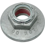 Order Spindle Nut by RAYBESTOS - 28492 For Your Vehicle