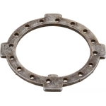 Order DANA SPICER - 621028 - Spindle Nut Washer For Your Vehicle