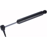 Order Stabilizer Cylinder by ACDELCO - 509-25 For Your Vehicle