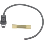 Order BWD AUTOMOTIVE - PT2534 - Starter Solenoid Connector For Your Vehicle