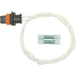 Order Starter Connector by BWD AUTOMOTIVE - PT9360 For Your Vehicle