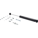 Order Steering Damper by FCS AUTOMOTIVE - 226318 For Your Vehicle